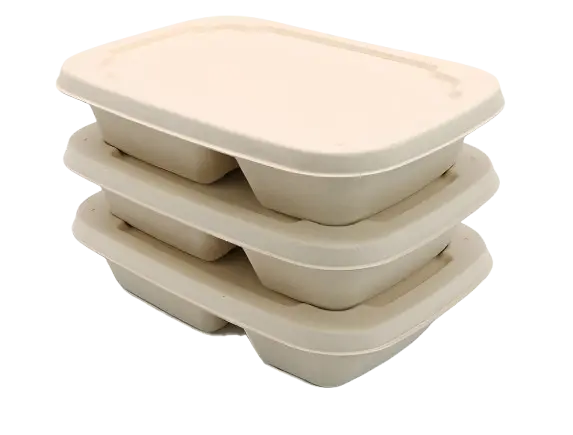 Bagasse Packaging